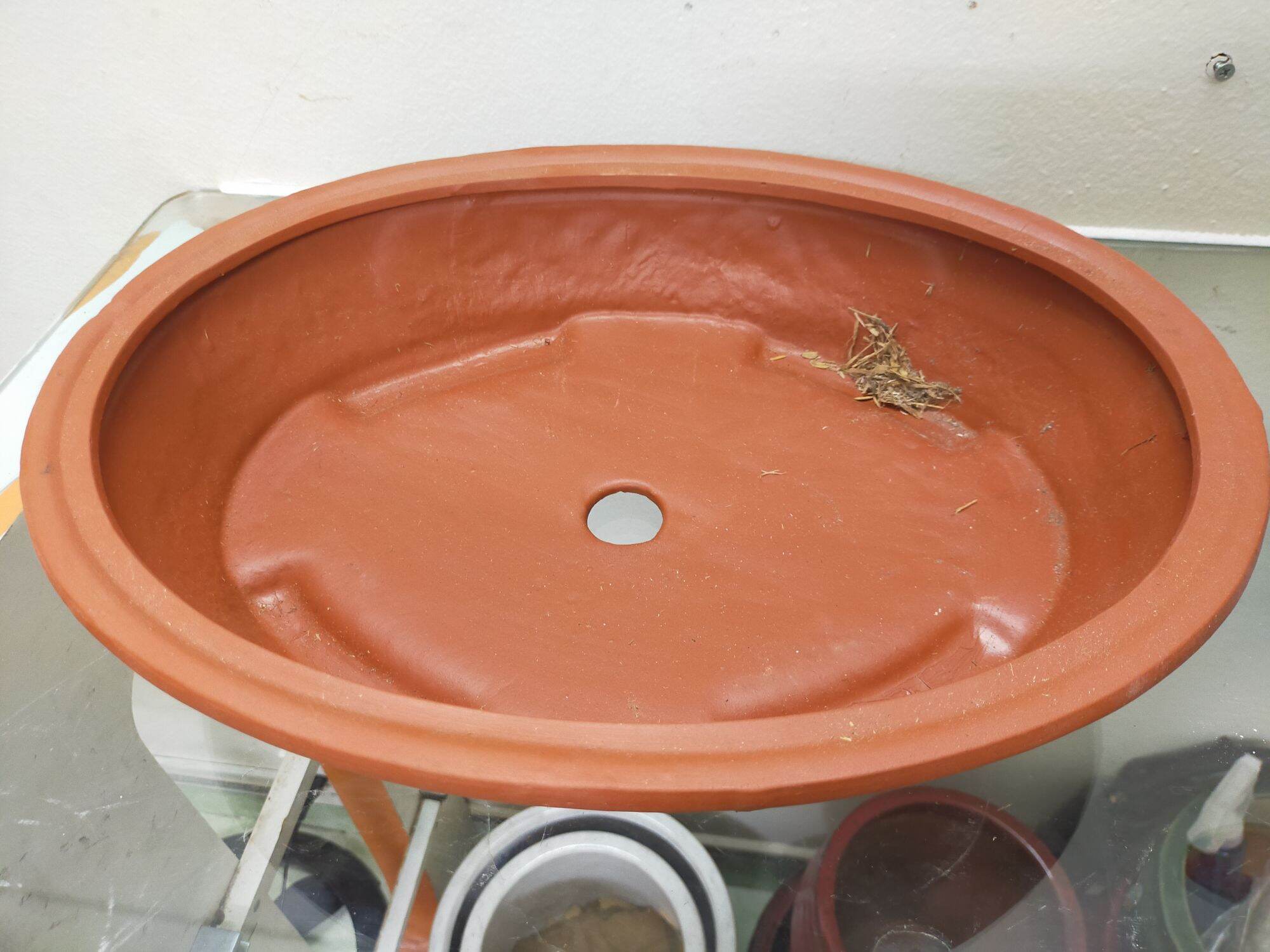 Chậu trồng cây hình oval ( dài 42, rộng 32, cao 9.5 cm)