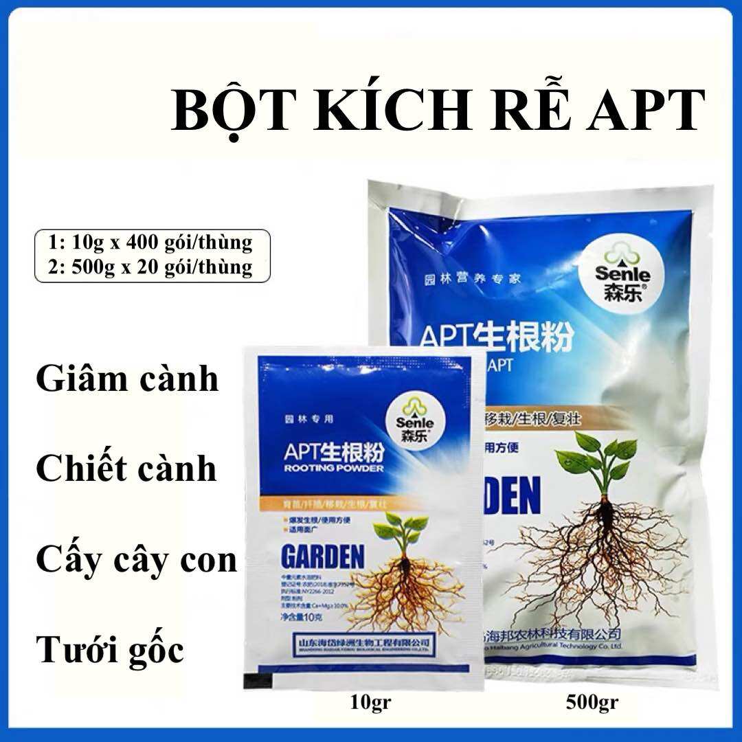 Kích rễ apt trung quốc 20gr