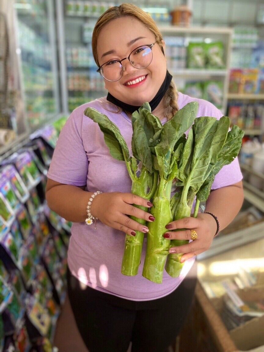 HẠT GIỐNG CẢI NGỒNG LÀN THÁI LAN