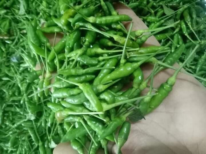Ớt thóc xanh sóc tỏi muối ( bình 1kg giá 200k)