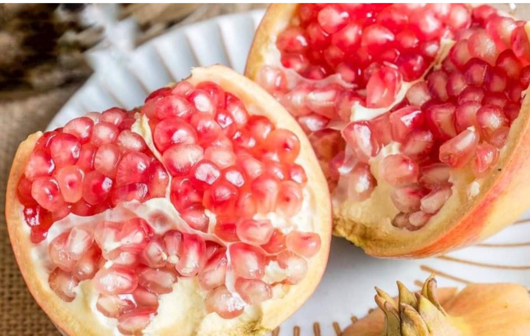 CÂY GIỐNG LỰU THÁI
