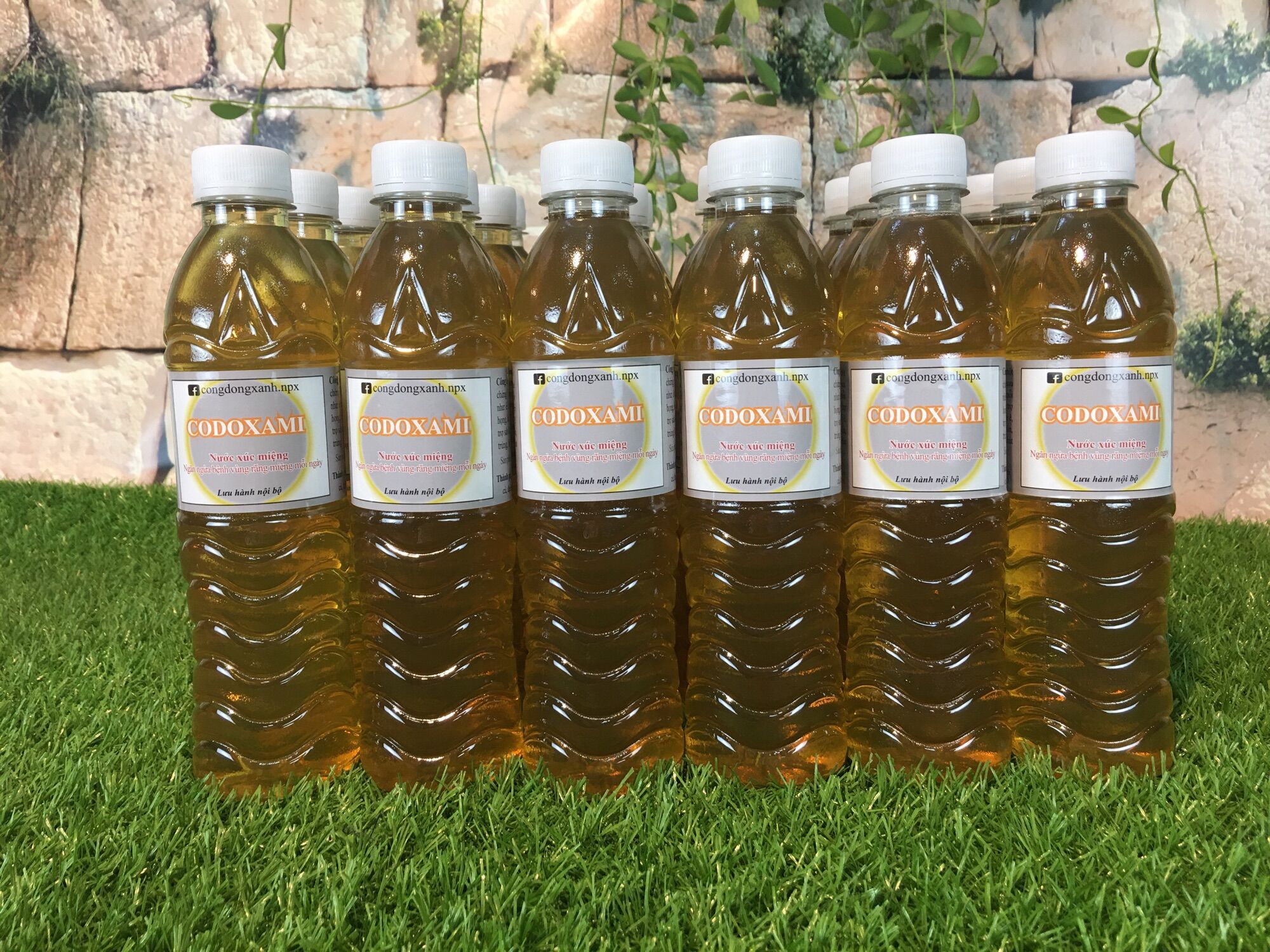 CODOXAMI [NƯỚC XÚC MIỆNG]