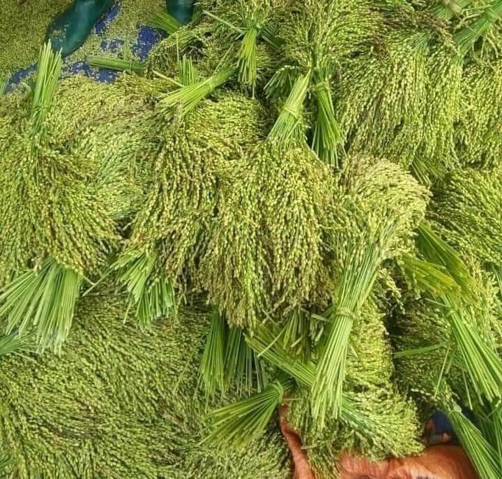 cốm nếp Tây Bắc