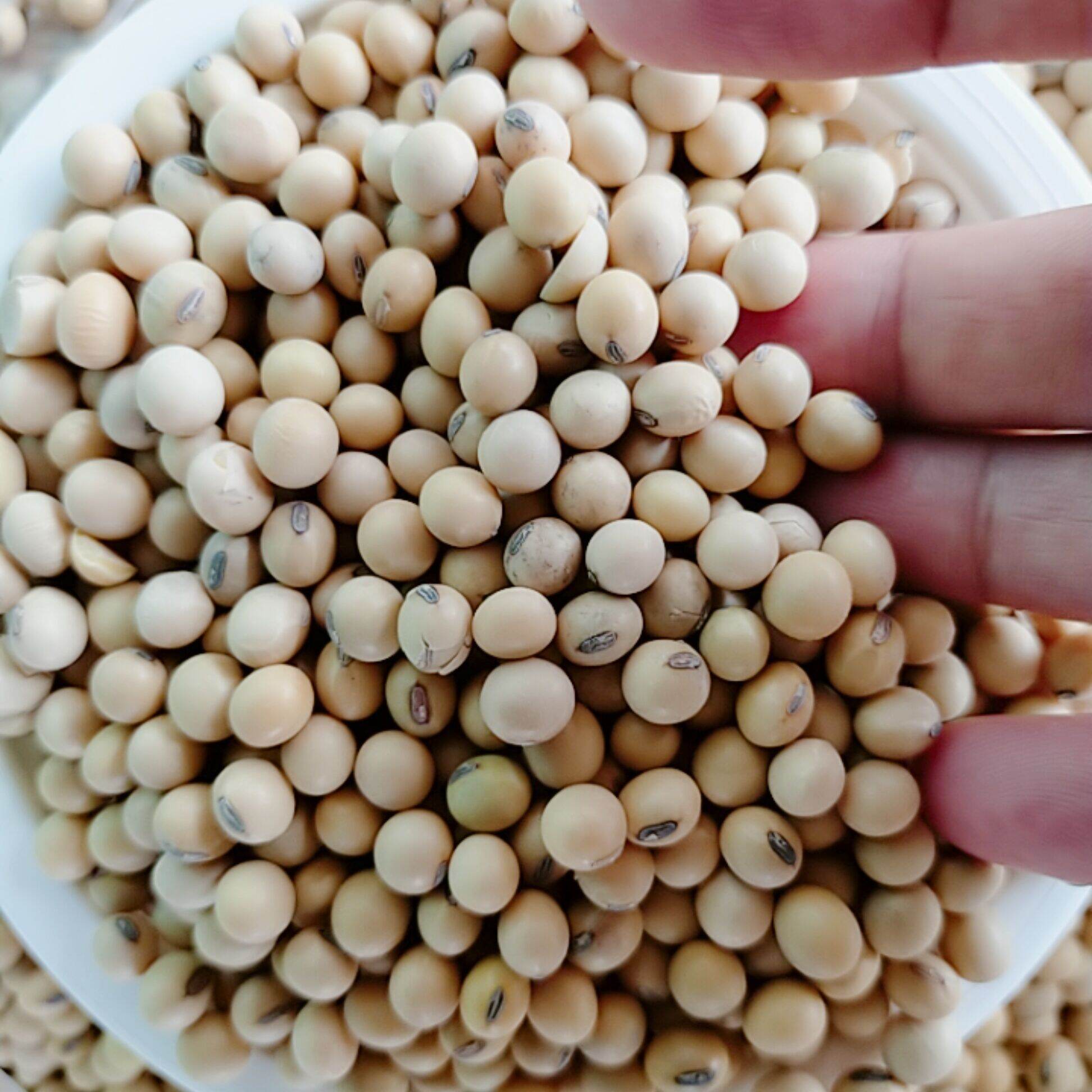500g Bột ngũ cốc 17 loại hạt Hà Hoàng