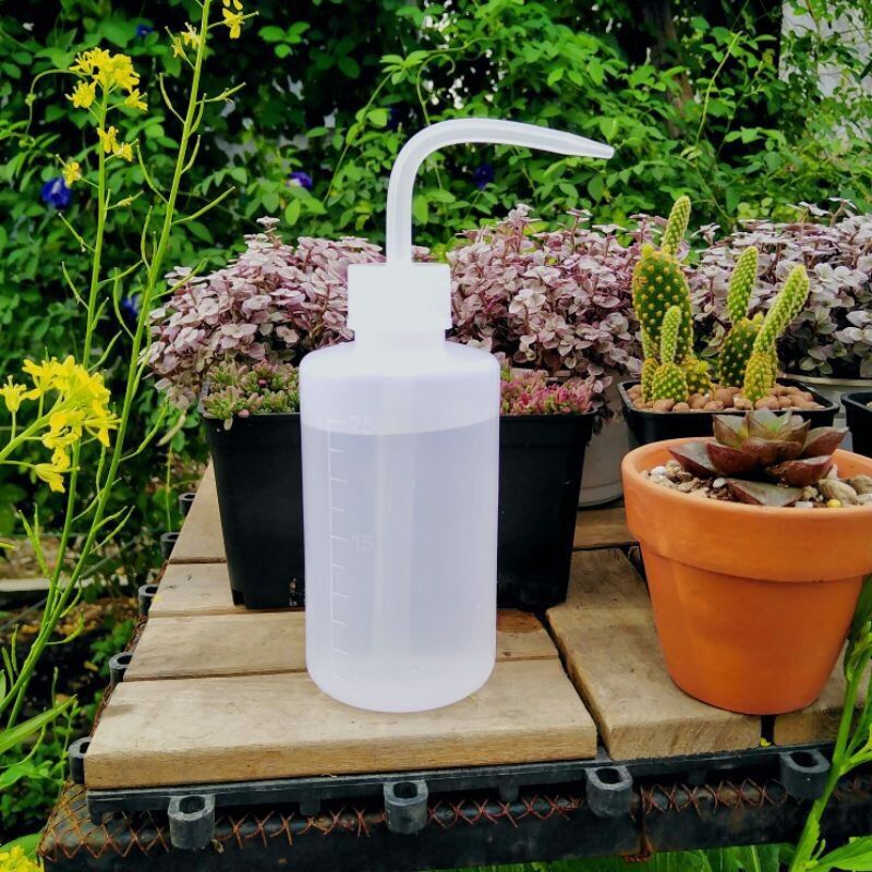 Bình tưới sen đá xương rồng 250ml