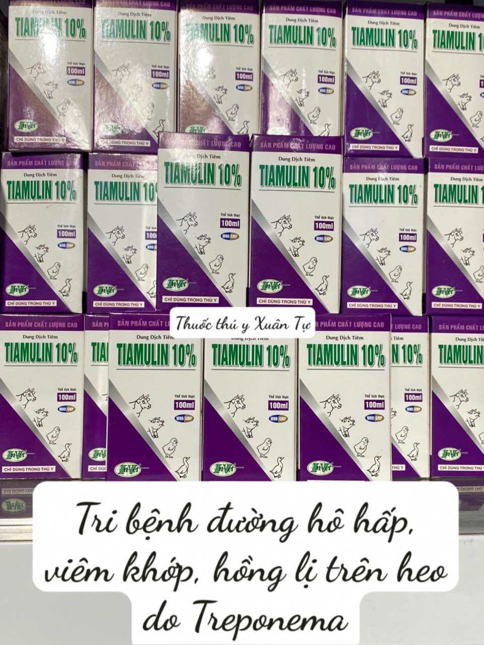 [ THÚ Y ] 1 lọ TIAMULIN 10 Tri bệnh đường hô hấp, viêm khớp, hồng lị trên heo trâu bò dê gà vịt