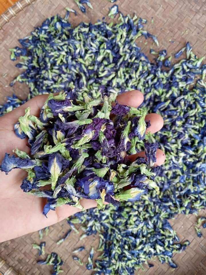 100gr Hoa đậu biếc sạch nhà trồng
