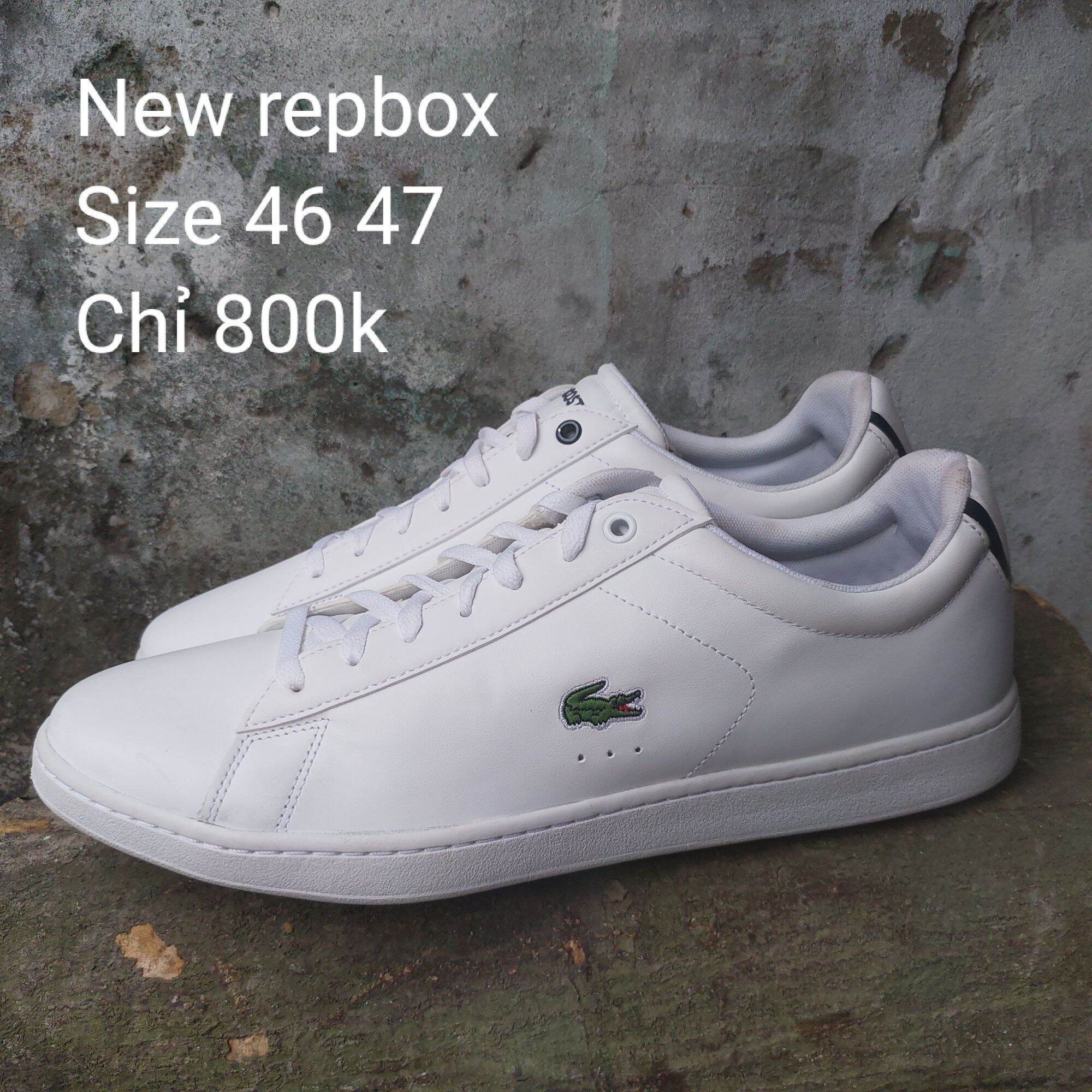Giày new lacoste big size