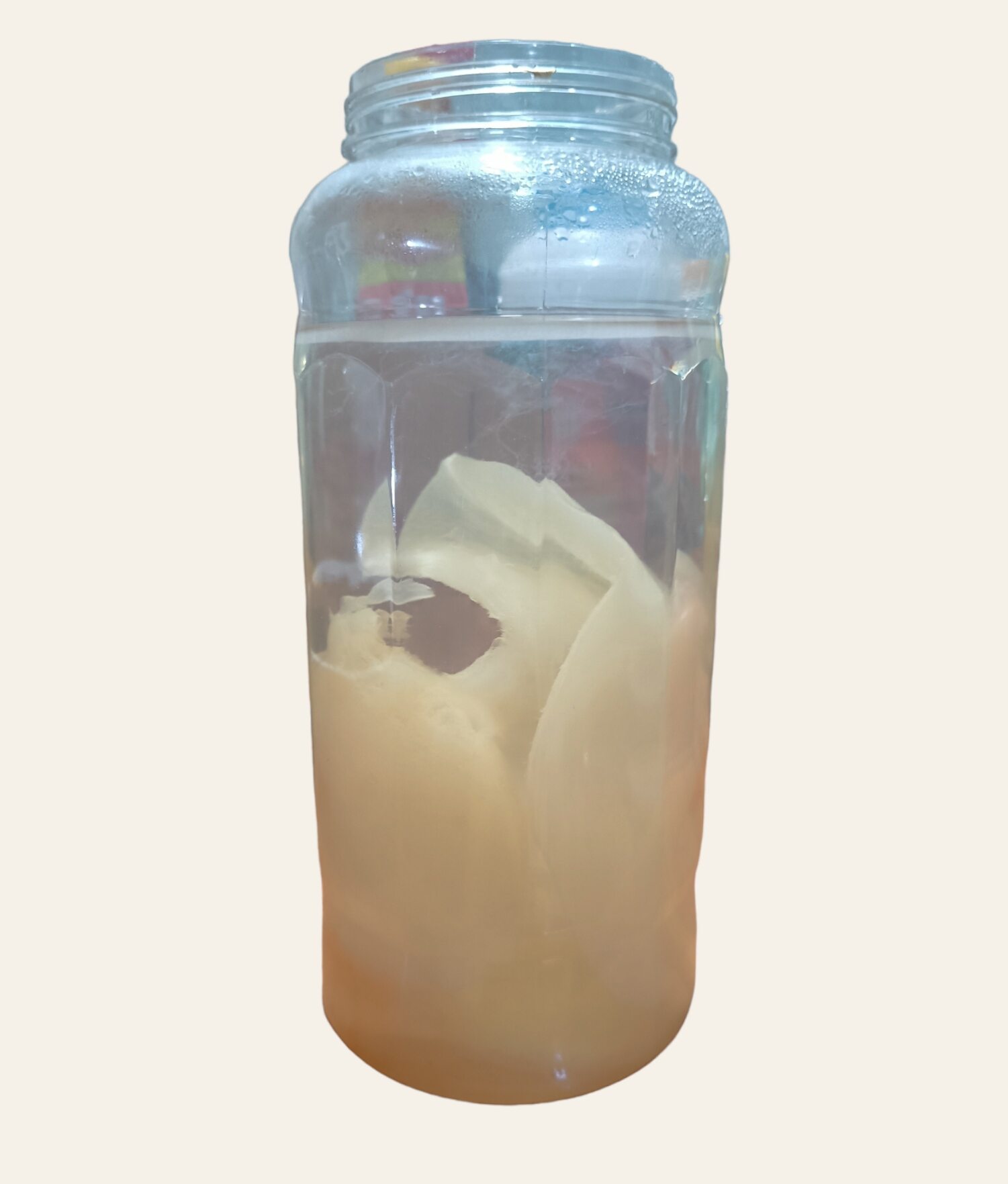 500ml of Vinegar with Baby Vinegar [Real Photo]