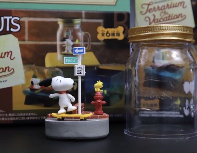 Bộ 6 Snoopy Terrarium On Vacation