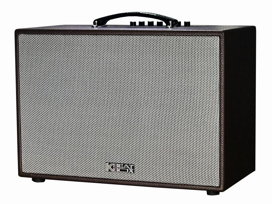 [HCM]Loa Karaoke mini xách tay ACNOS CS200PU