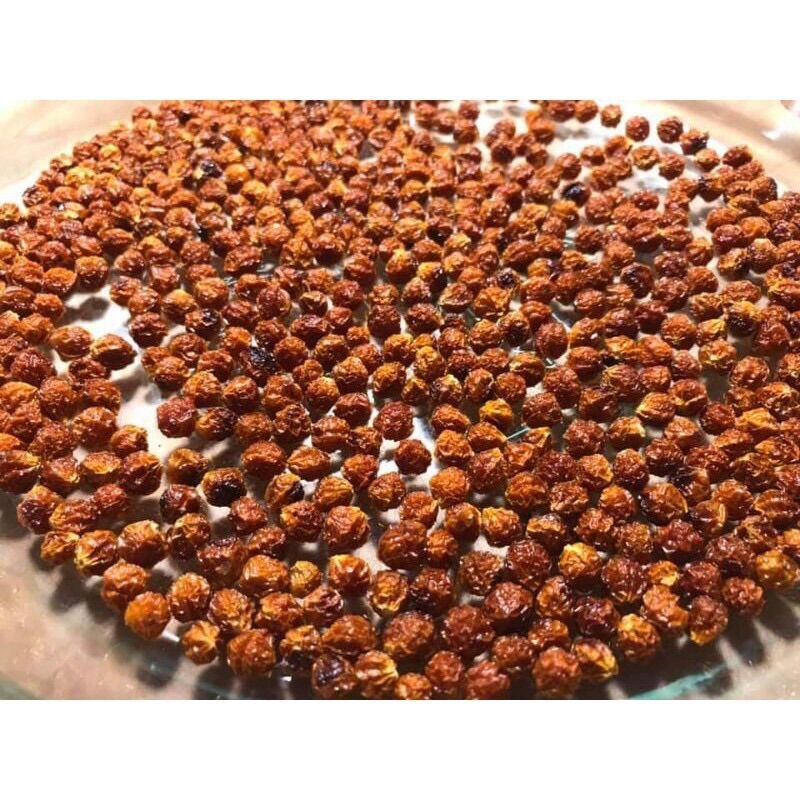 100 quả ớt khô giống Aij charapita