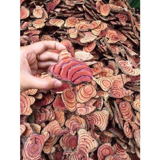 Cây cỏ máu phơi khô (huyết đằng) chuẩn quảng bình.