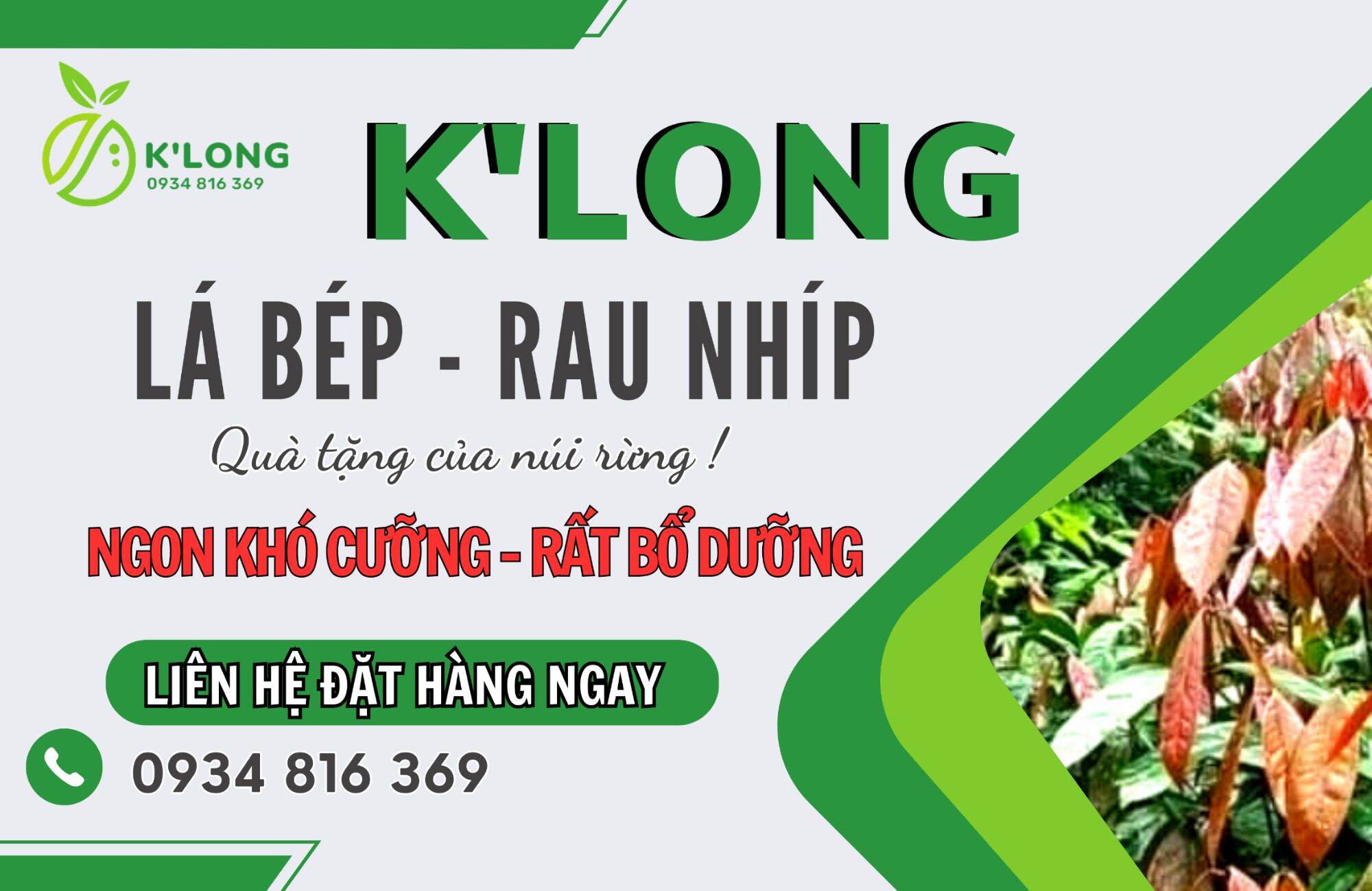 RAU NHÍP HÁI RỪNG - SHOP K'LONG