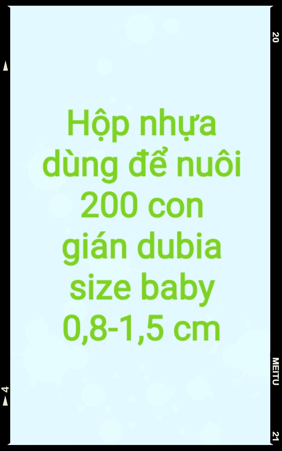 Hộp nhựa dùng để nuôi 200c gián dubia size baby 0.8 - 1,5cm.