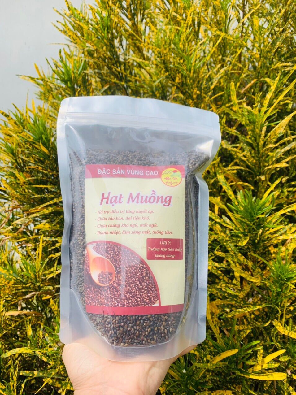 Hạt muồng núi ( gói 1kg)