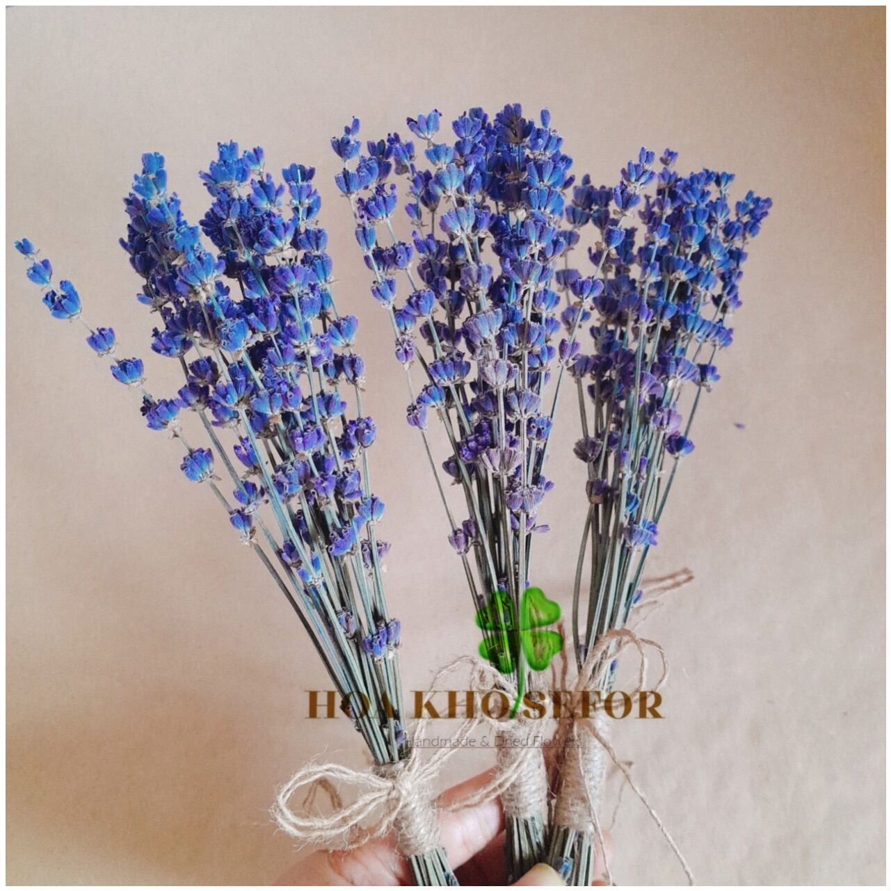 Set 10 cành hoa Lavender trang trí văn phòng, nhà cửa...