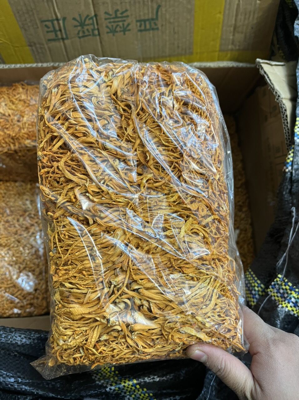 Đông trùng hạ thảo gói 1kg