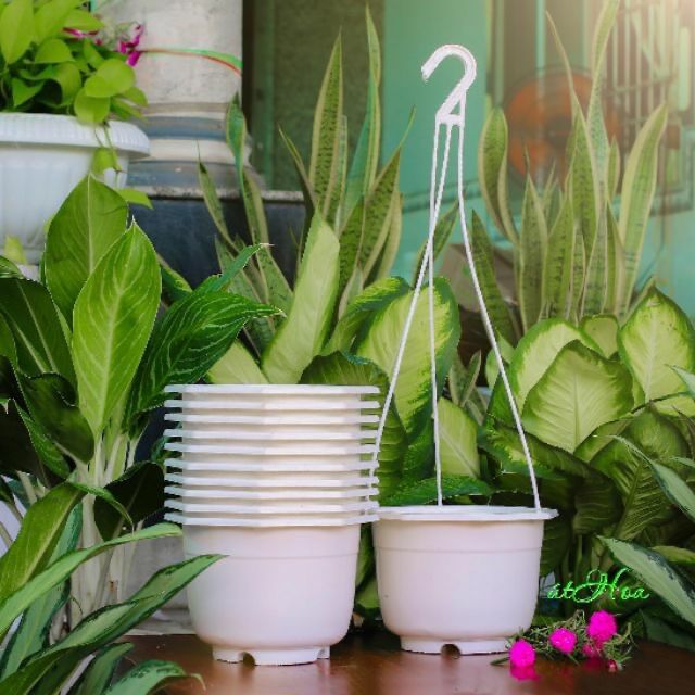 Combo 10 Chậu Treo Trắng Trơn (Kèm Dây Treo)