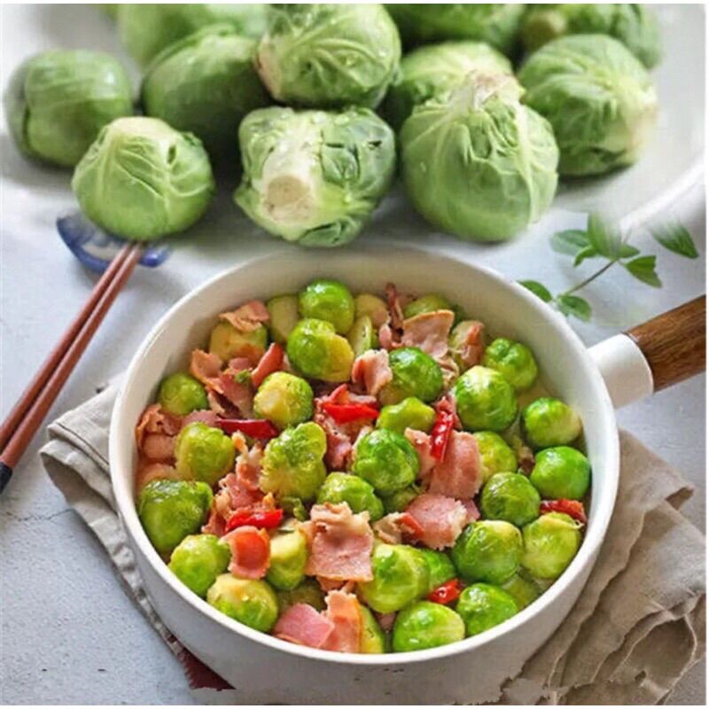 1 Gram Hạt Giống Bắp Cải Tý Hon dễ trồng