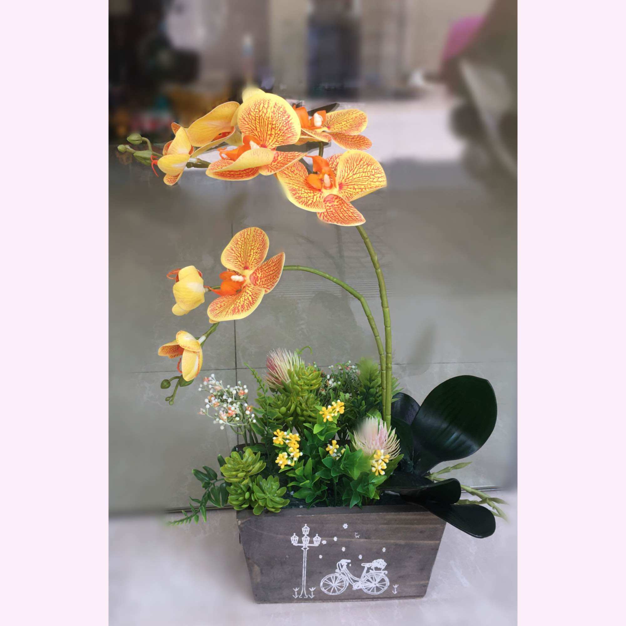 Châu Lan mini 1 cành