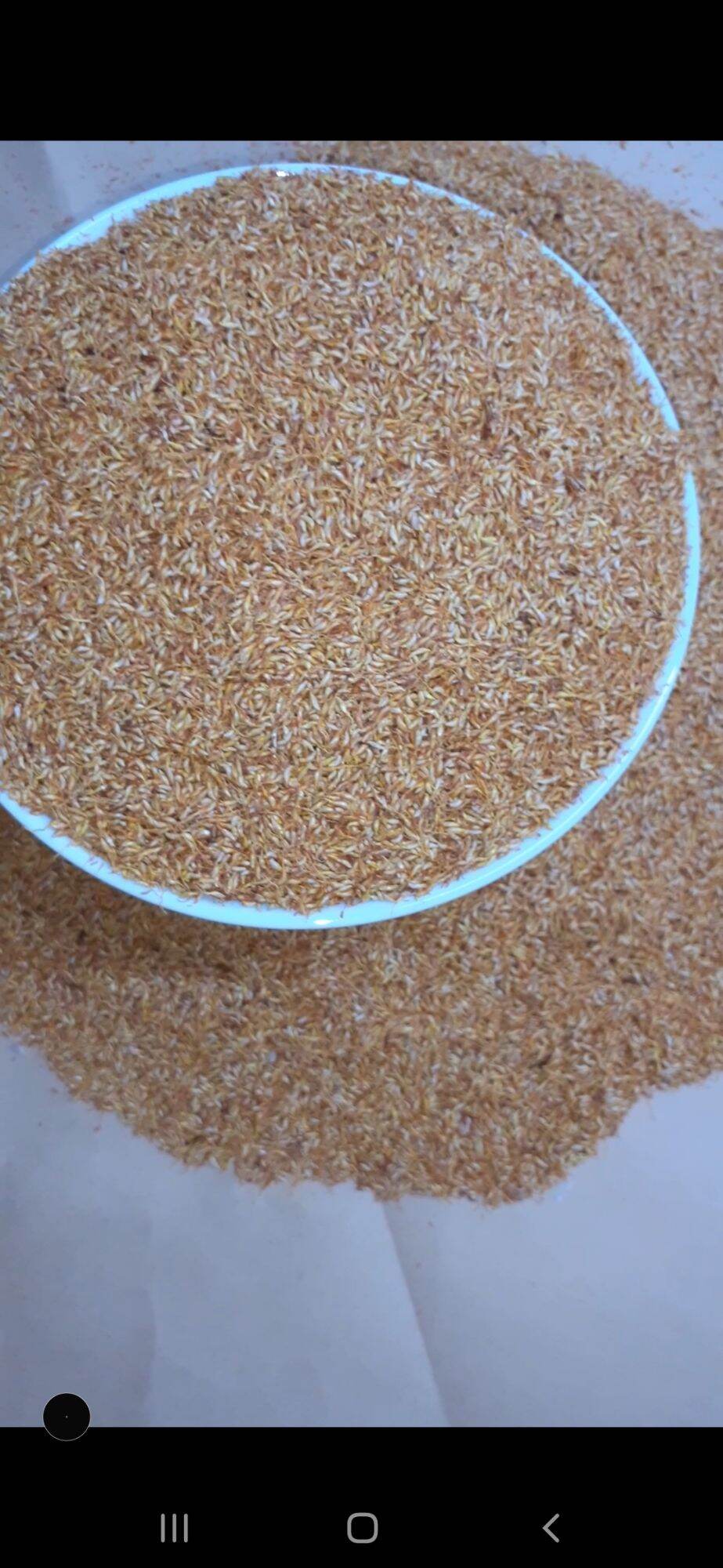 Hạt mác púp cao bằng 0.5kg