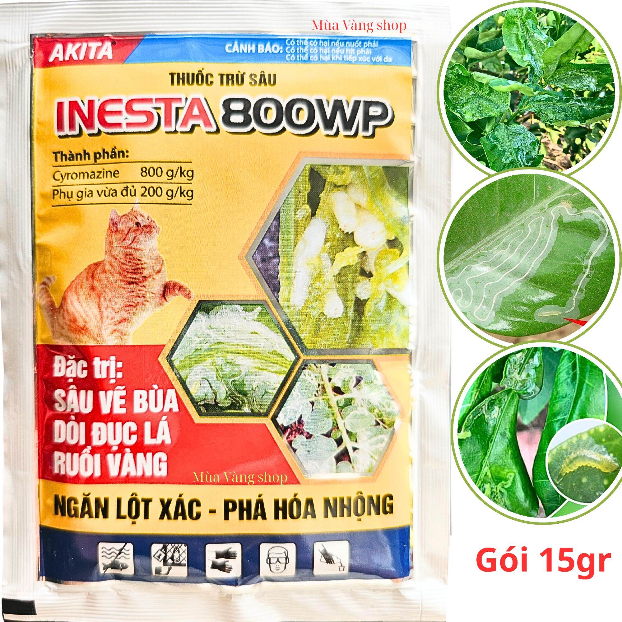 10gói: Sâu vẽ bùa INESTA 800WP giúp bảo vệ bộ lá cây trồng.