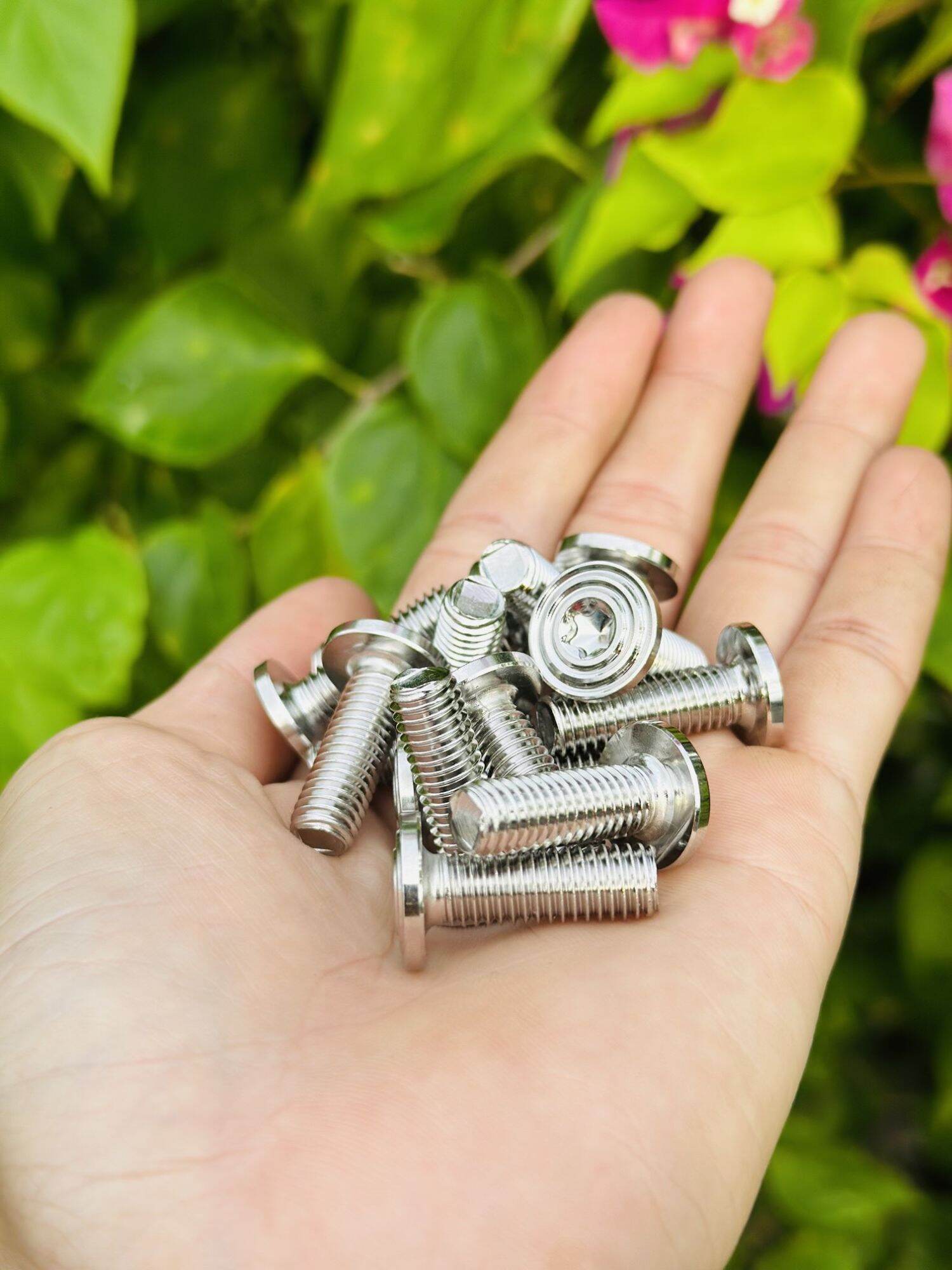 Ốc đĩa salaya 8li25 mẫu thái v2