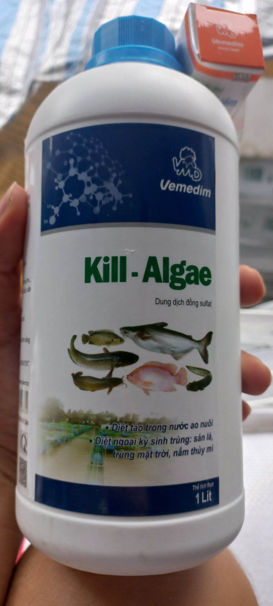 Kill - Algae diệt tảo. nấm thủy mi. loét vẩy cá. đỏ thân cá