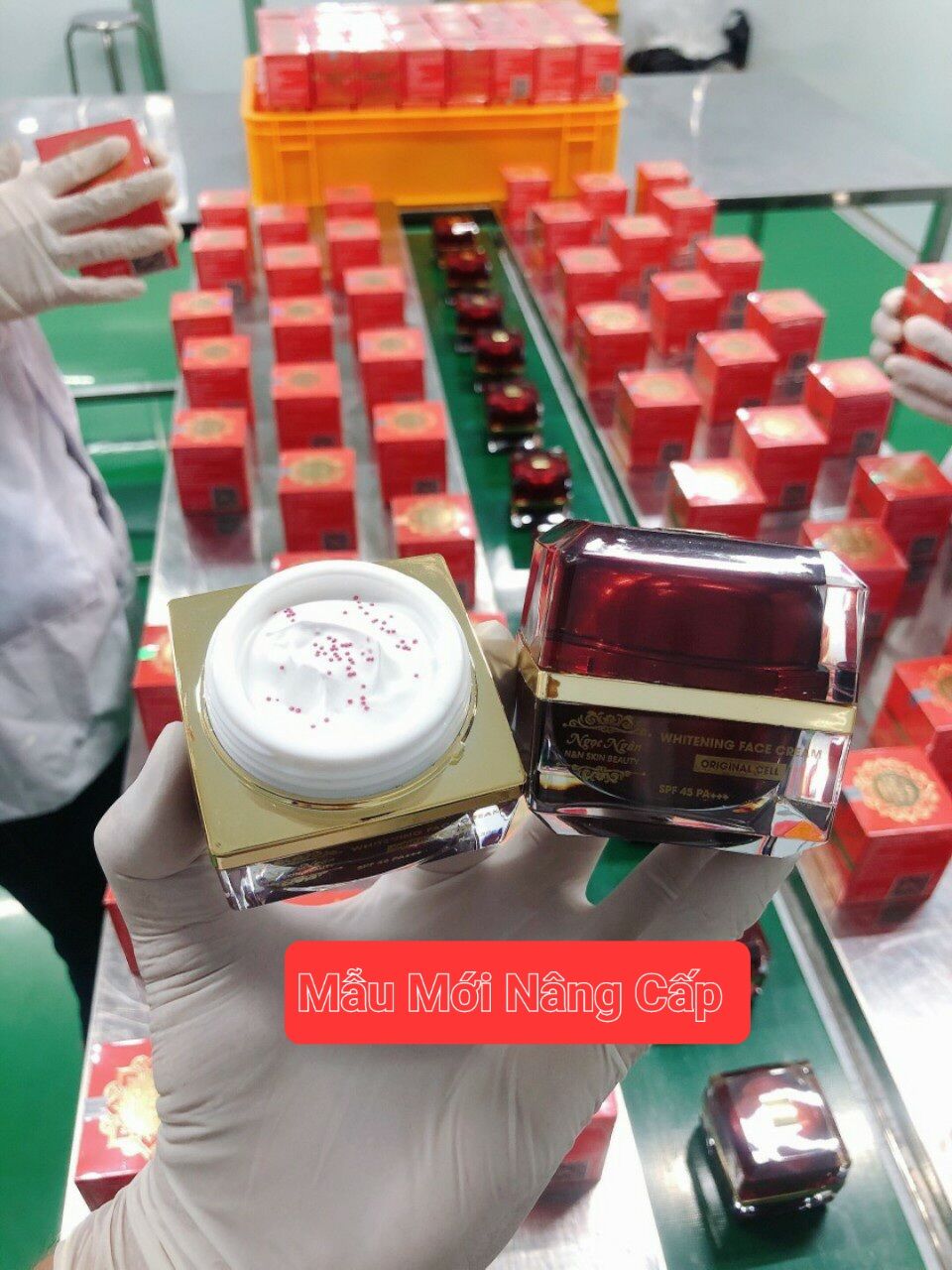 (Mẫu mới nâng cấp) KEM FACE TẾ BÀO GỐC COLLAGEN DỊCH YẾN CAO CẤP ( Hộp to 30gr)