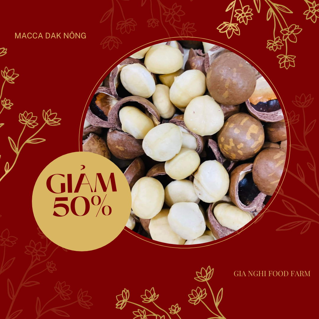 Túi 500g macca Đăk Nông - mắc ca sấy nứt vỏ