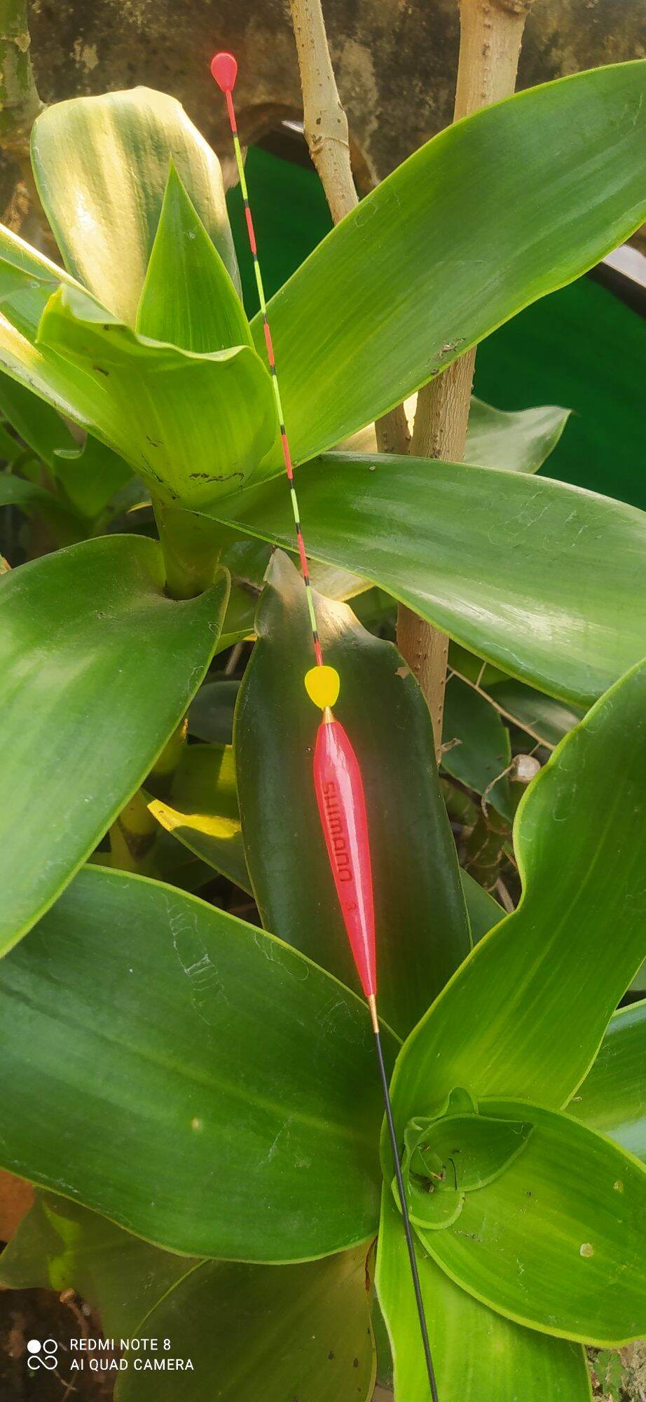 Phao câu đài, phao câu đài giá rẻ
