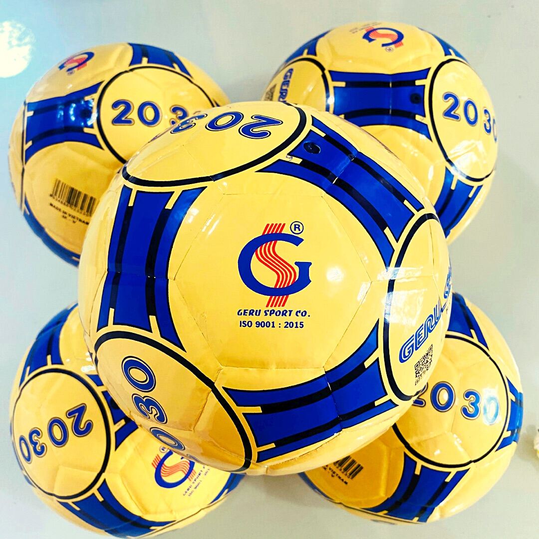 Bóng Đá Futsal 2030 Gerustar Tặng kèm kim bơm + Túi đựng bóng  Shop Cam
