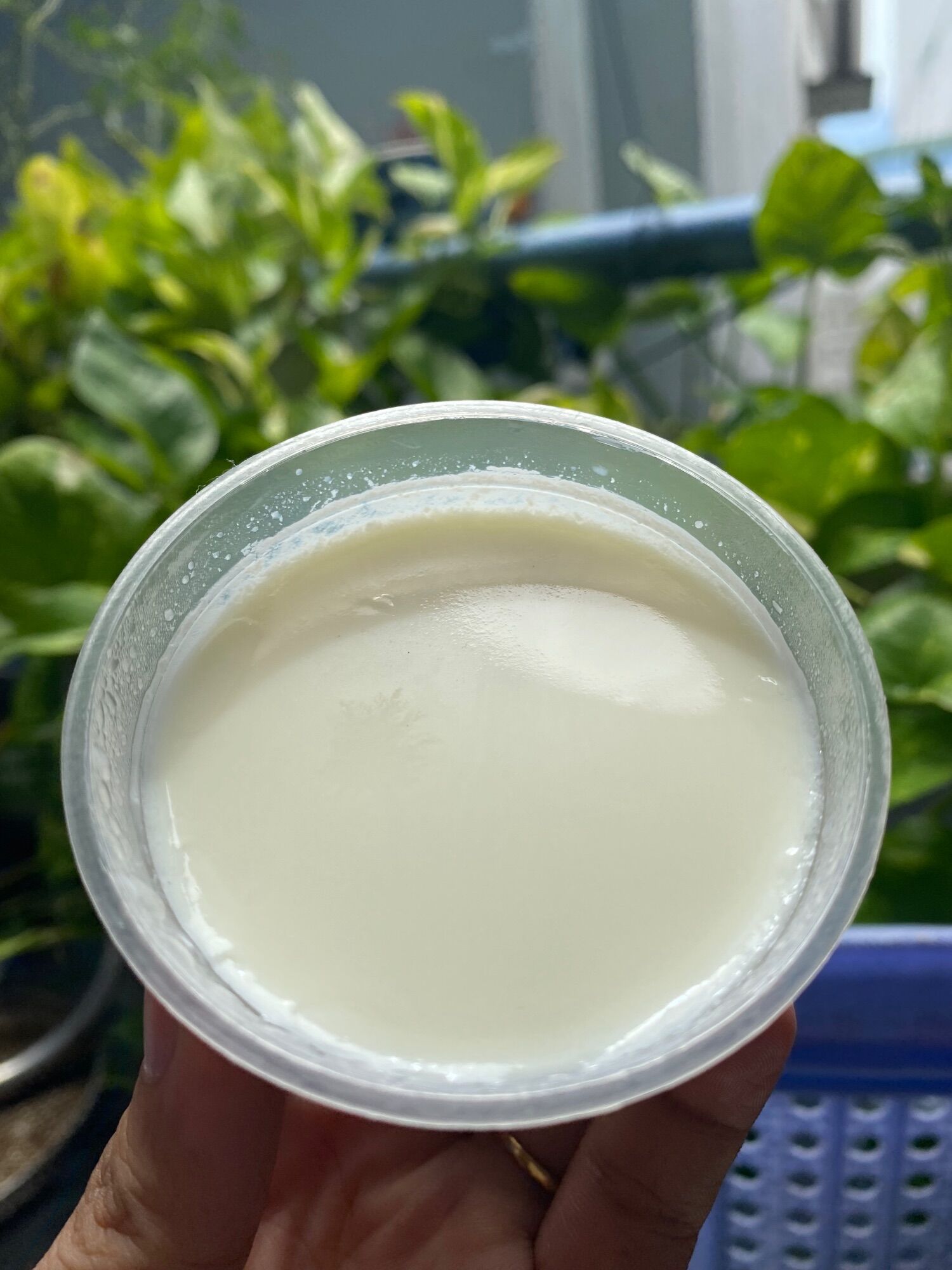 Hũ bánh flan số 1