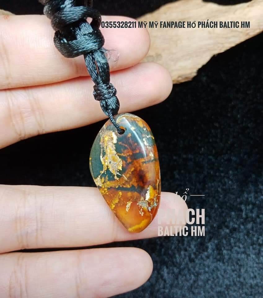 HỔ PHÁCH DOMINICAN ÁNH XANH DƯƠNG