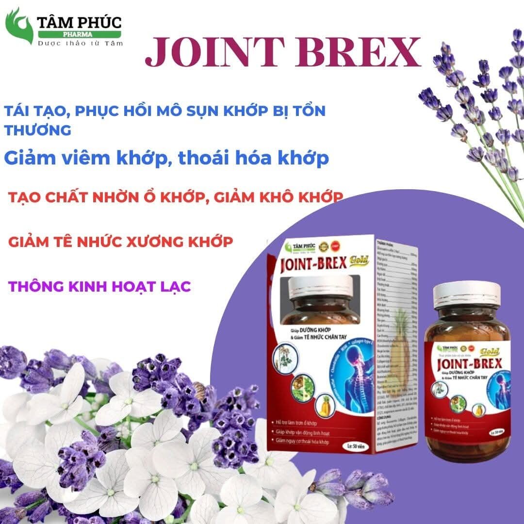 KIỆN KHỚP TIÊU THỐNG JIONT - BREX bổ khớp, dưỡng khớp, thông kinh hoạt lạc, giảm đau tê nhức xương khớp, tê bì chân tay, đau mỏi cổ vai gáy