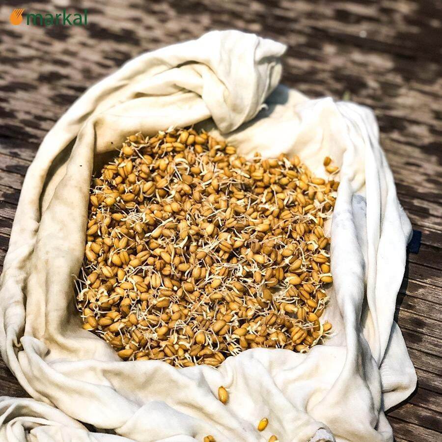 Hạt Lúa Mỳ Hữu Cơ Markal [1Kg]
