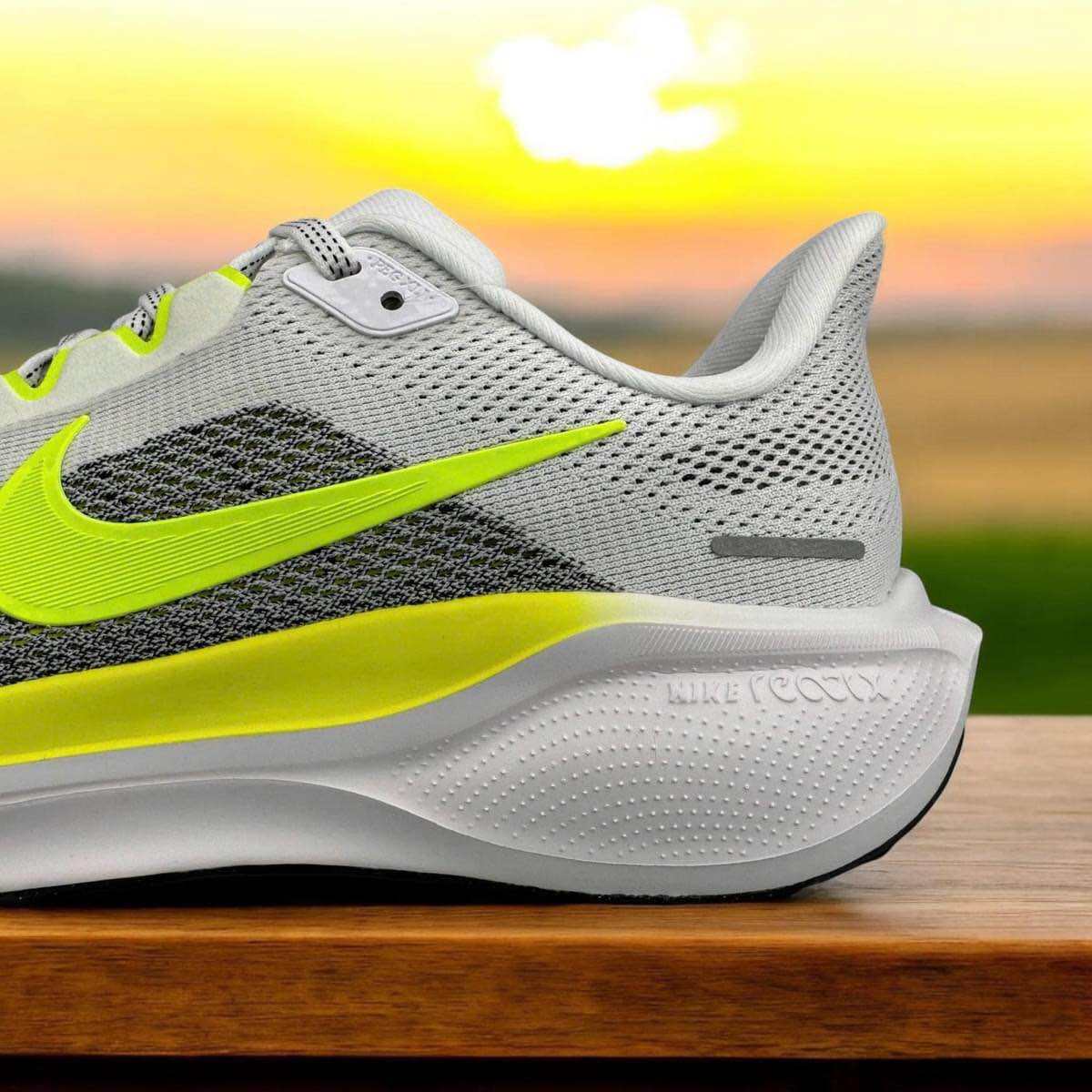 Giày Chạy bộ Nike pagesus 41. 