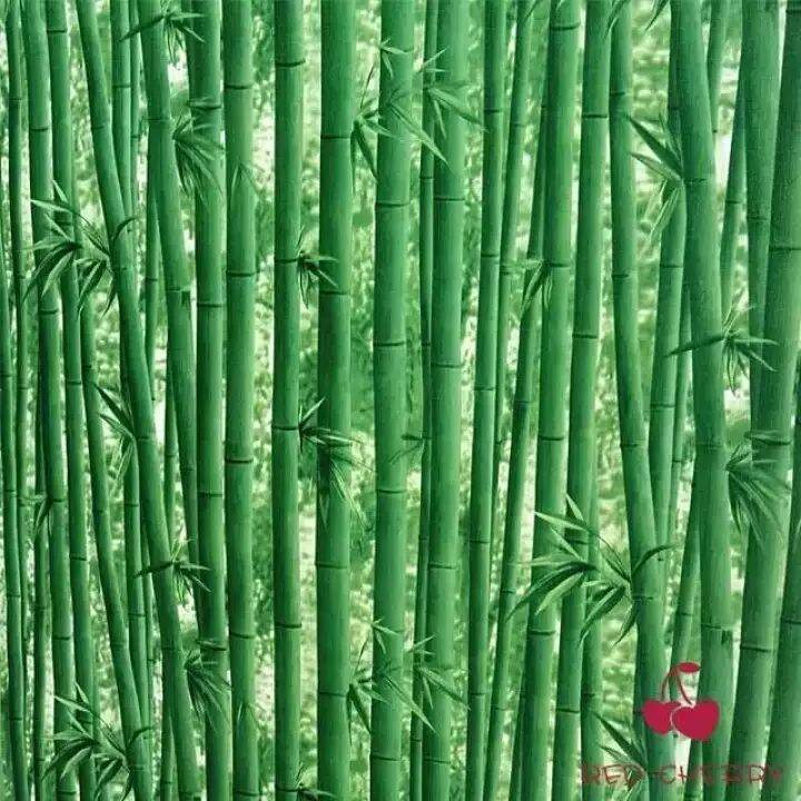 10 mét giấy dán tường có keo sẵn khổ rộng 45cm - mẫu Rừng tre