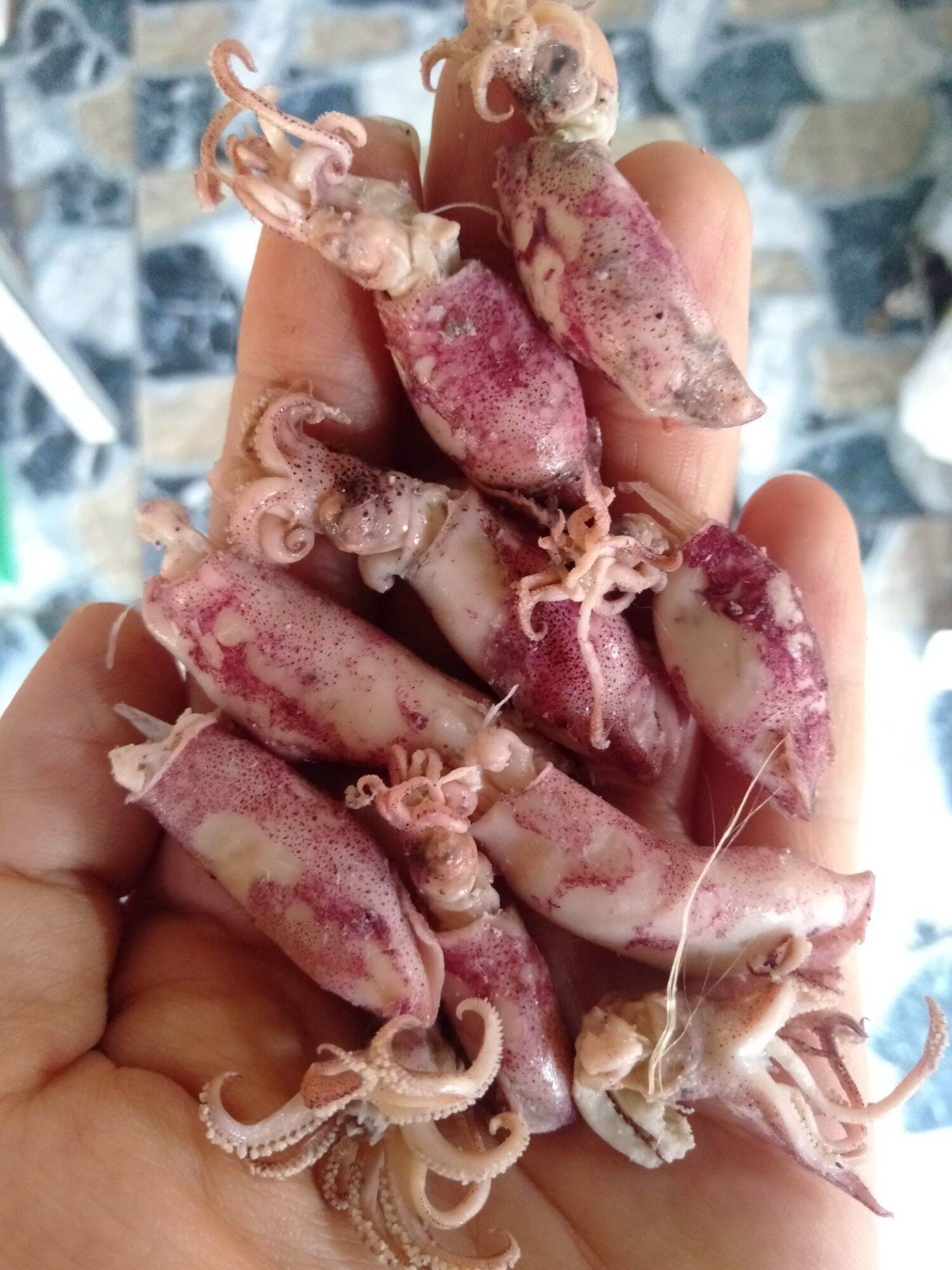 Mực cơm hấp