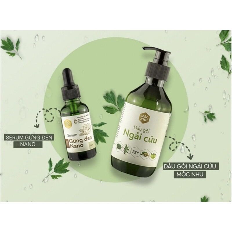 Bộ dầu gội ngải cứu mộc nhu và serum gừng đen nano giảm nấm gàu cho da đầu
