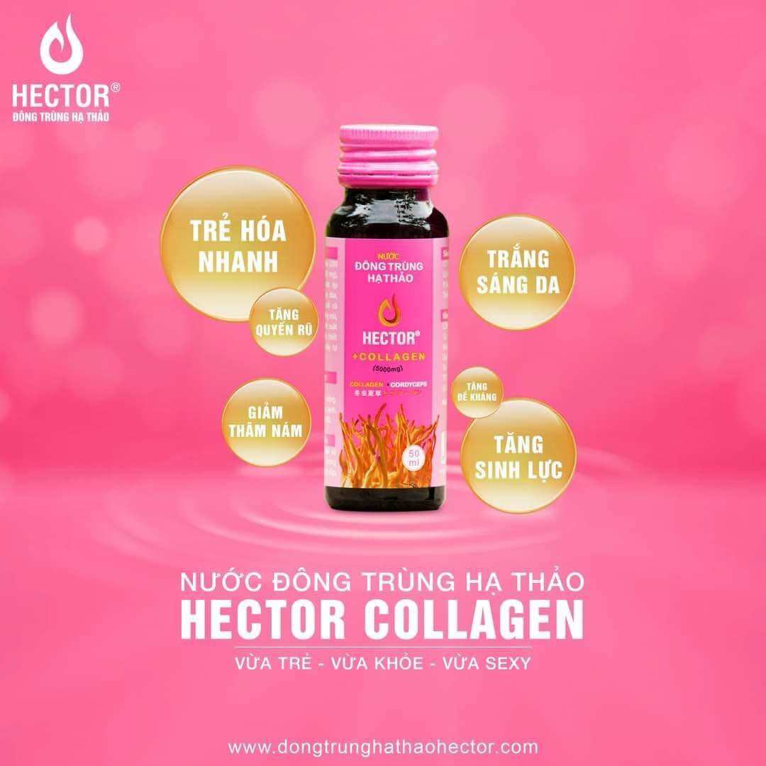 Nước đông trùng hạ thảo Hector Collagen hộp 10 chai màu hồng