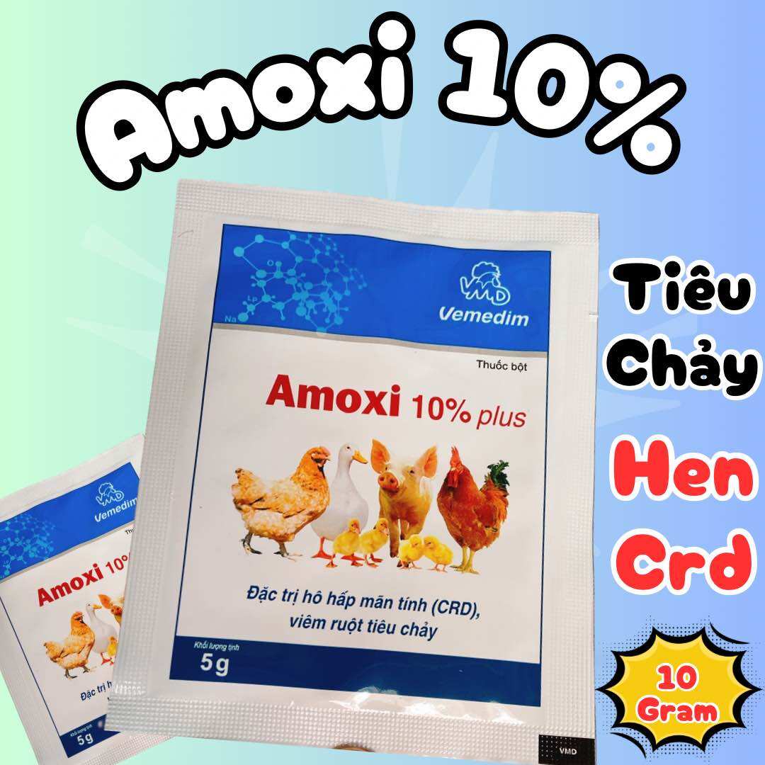 Amoxi 10% plus phòng hen khẹt, viêm ruột gà đá