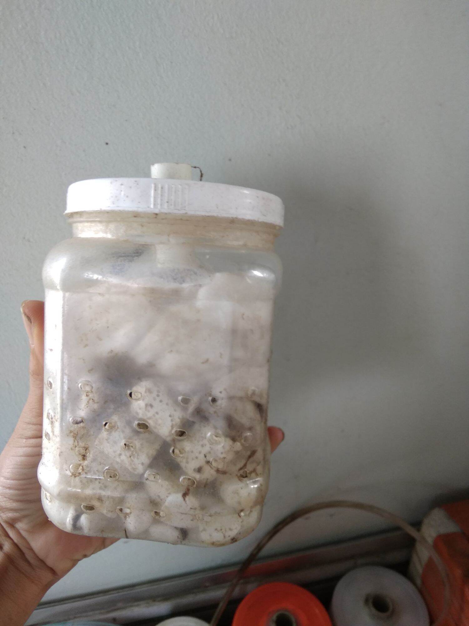 lọc bio chế cũ full vật liệu và bông