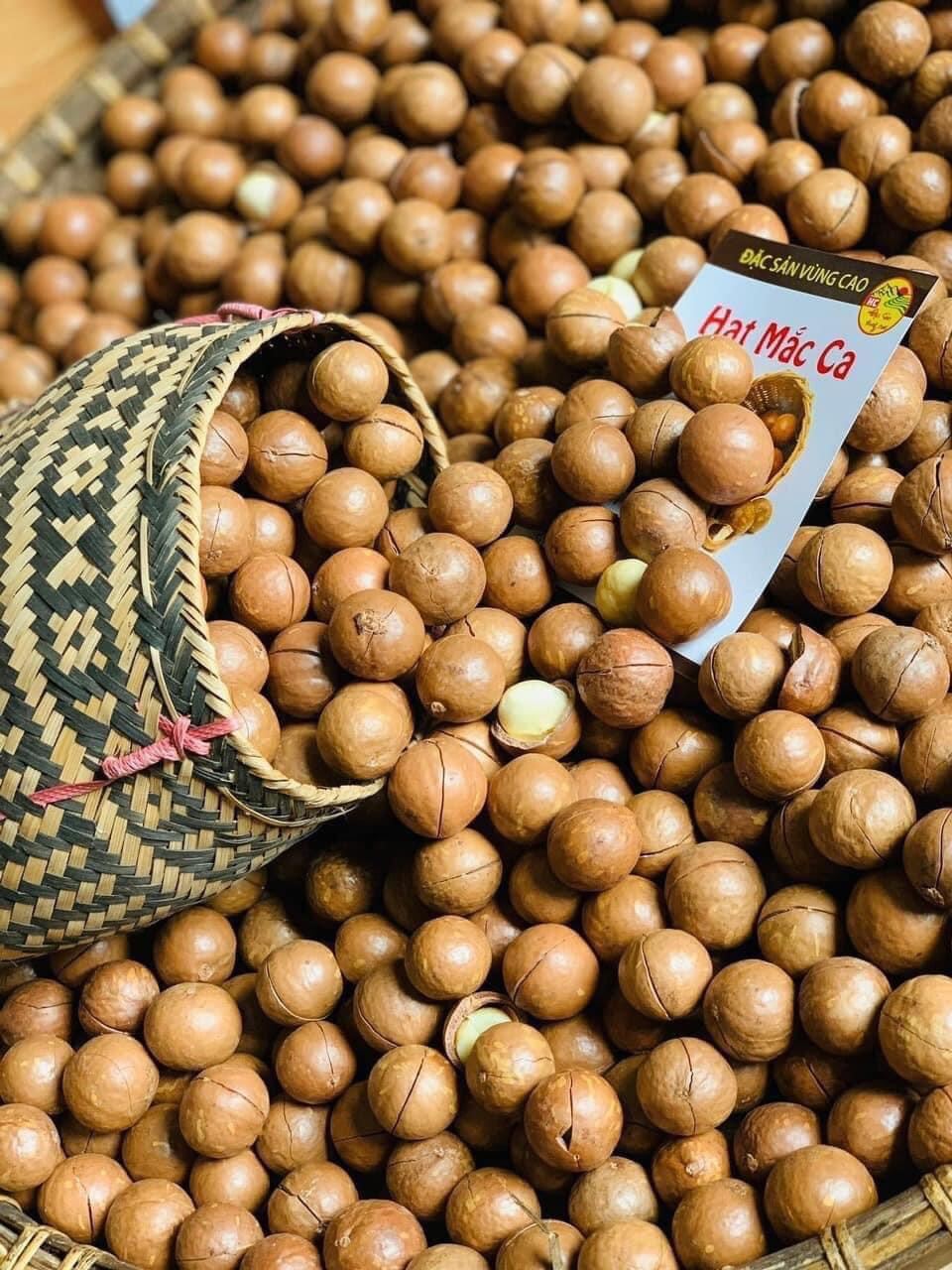 Hạt MACCA Mắc ca Lai Châu sấy lạnh size lớn  500g, 250g