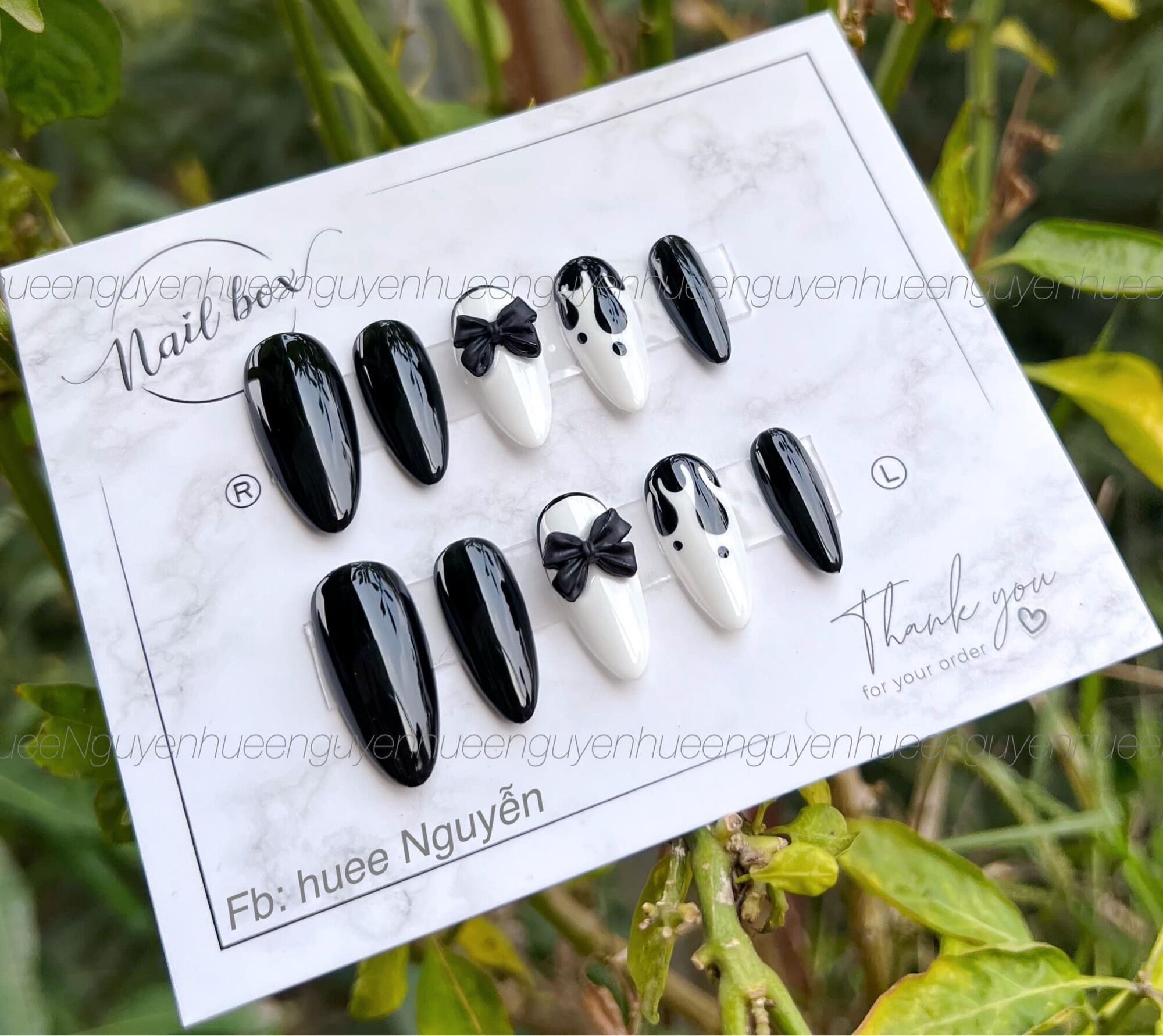 nailbox thiết kế giá rẻ