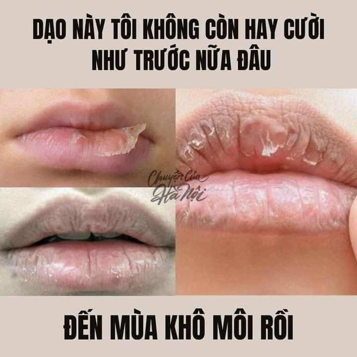 0Mặt nạ Môi 𝗣𝗿𝗿𝗲𝘁𝗶 𝗥𝗲𝗮𝗹 𝗩𝗶𝘁𝗮 𝗛𝘆𝗱𝗿𝗼𝗴𝗲𝗹 𝗟𝗶𝗽 𝗣𝗮𝘁𝗰𝗵
