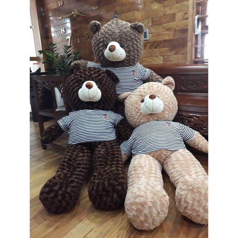 Gấu bông teddy siêu to khổng lồ, thú nhồi bông gấu teddy siêu mềm khổ vải 1m6
