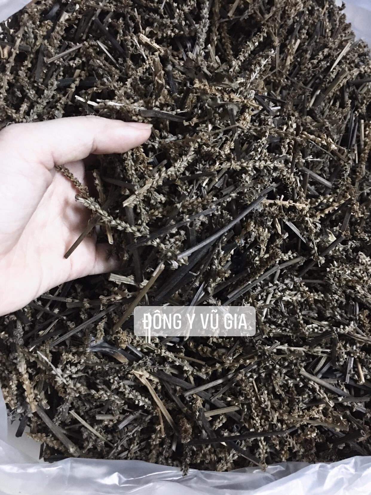 Bông mã đề khô đẹp 1kg