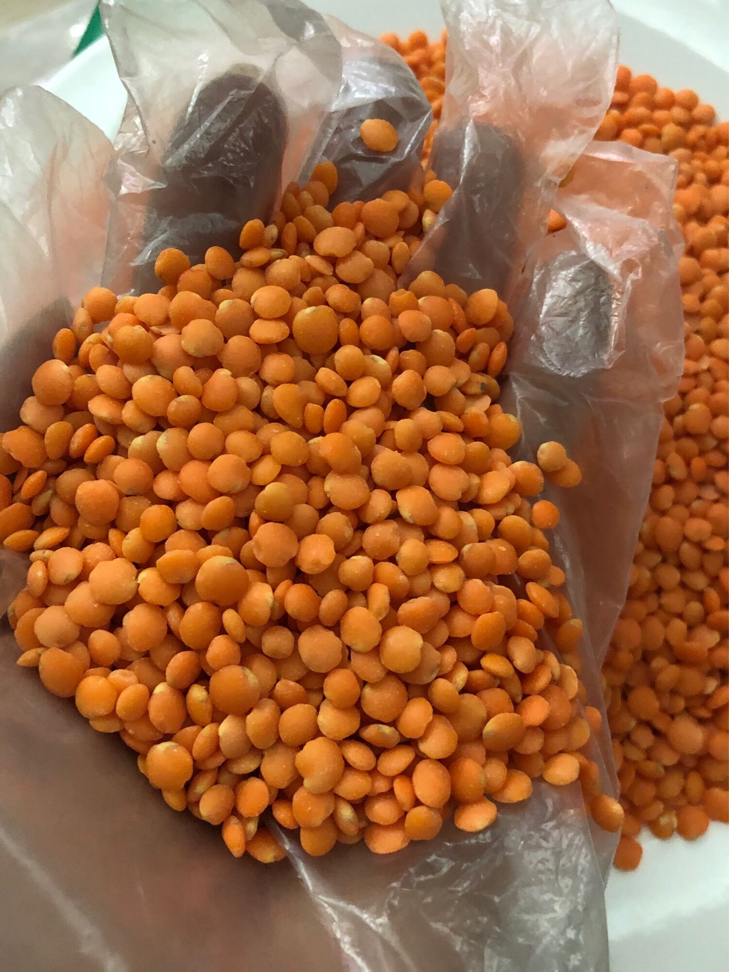 500G Hạt đậu lăng đỏ Canada đã tách vỏ